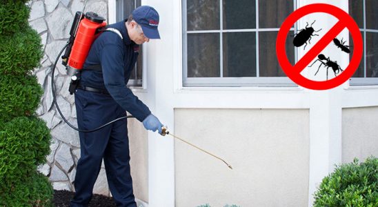 Nizip Hamam Böceği İlaçlama böcek ilaçlama ve haşere kontrolü — ilaclama-tr.com